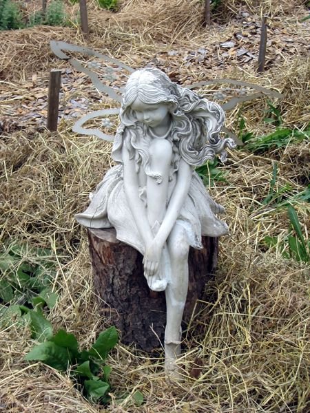 New Herb - Row 2, fairy in garden crop June 2025.jpg