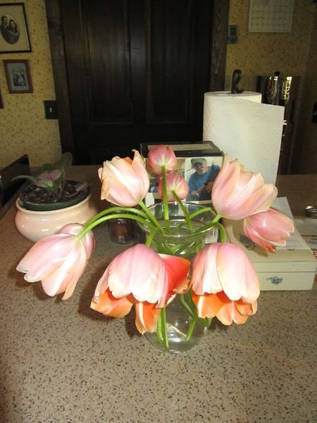Lee's Mother's Day tulips crop May 2025.jpg