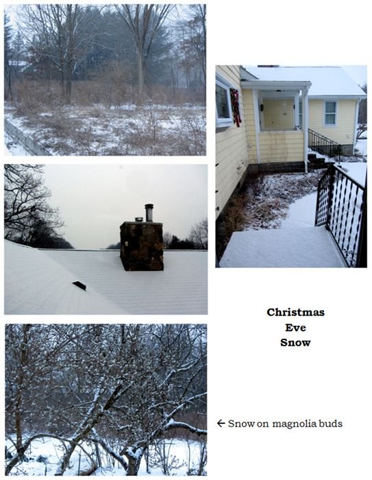 Snowing again collage text crop Dec 2024.jpg