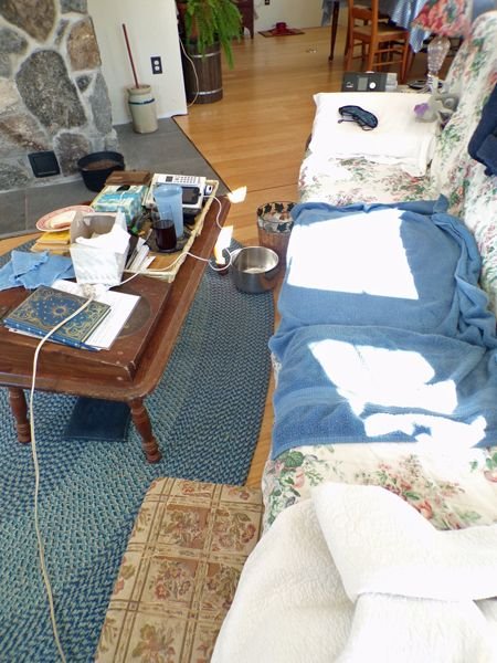 Sick bed crop Jan. 2022.jpg