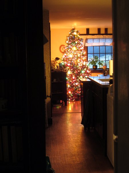 Christmas tree from down the hall crop Dec 2024.jpg