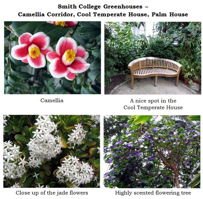 Smith greenhouses - cool temp house collage2 text crop Jan 2025.jpg