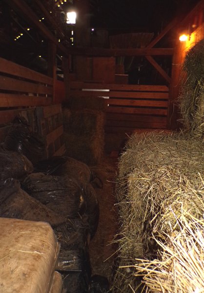 Hay stall filling2 crop August 2024.jpg