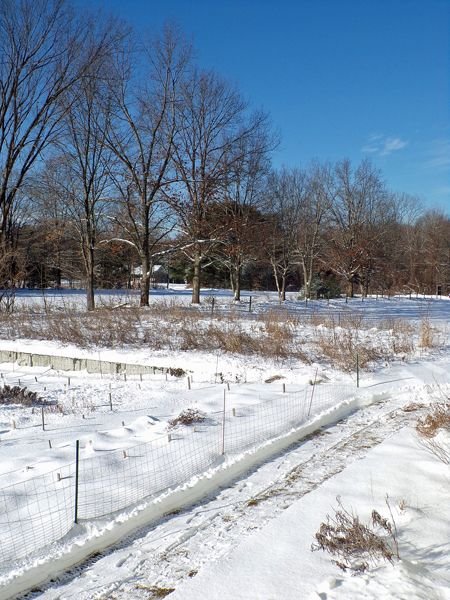 Up the driveway all white crop Feb. 2022.jpg