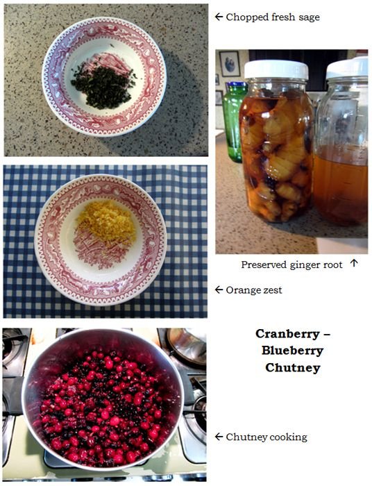 Cranberry-blueberry chutney - collage1 text crop Nov 2024.jpg