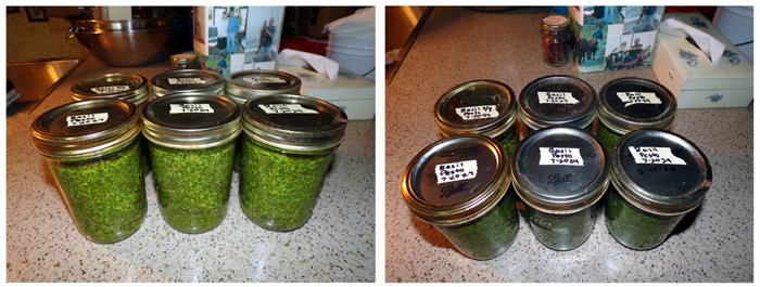 Basil pesto - 5.75 pts collage crop July 2024.jpg