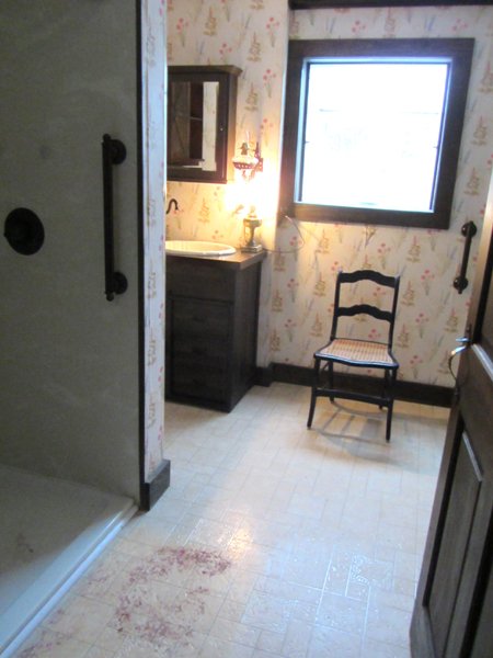 Bathroom stripped crop Feb 2025.jpg