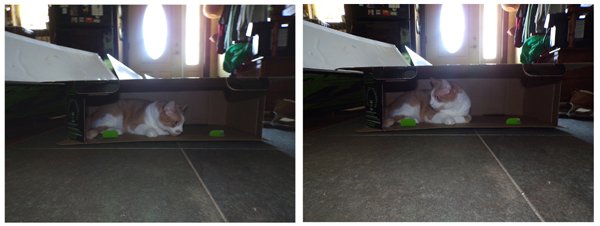 Box inspector collage crop July 2024.jpg