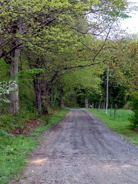 Driveway to road crop May 2024.jpg