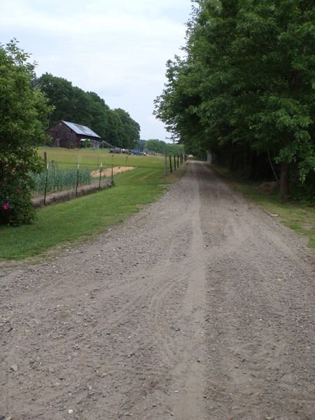 Driveway to barn graded crop June 2023.jpg