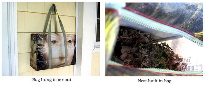 Nest in bag collage text crop May 2025.jpg