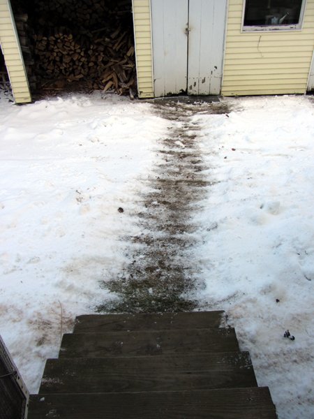 Steps and walk swept crop Dec 2024.jpg