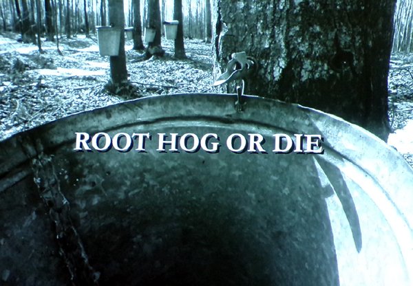 Root Hog or Die title crop Feb. 2024.jpg