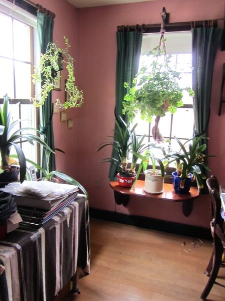 Sewing room - back together crop April 2025.jpg