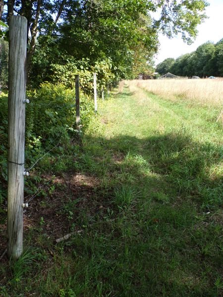 Middle pasture - fences done crop Sept. 2022.jpg