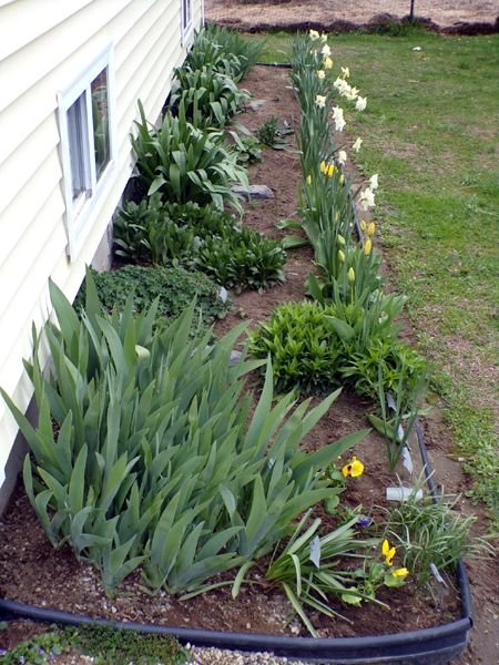 New South - cleaned out, pansies planted crop April 2024.jpg