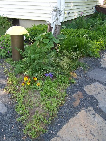 6.V Garden - allysum, forget-me-nots, black-eyes Susans, pansies, pink Queen Anne's lace, hollyhocks, liatris, star of Bethlehem, geranium crop May 2015.jpg