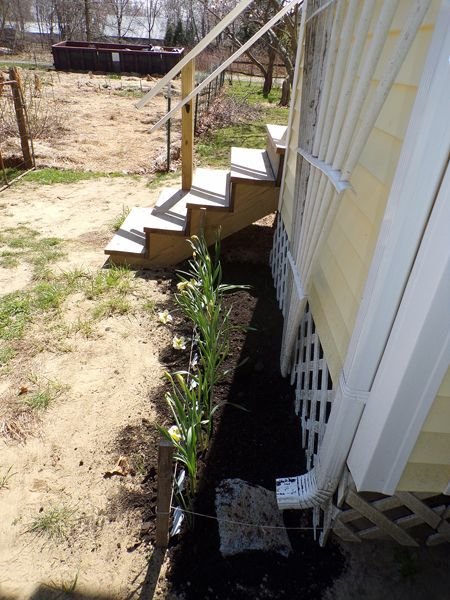 Back Porch garden - compost on crop April 2021.jpg