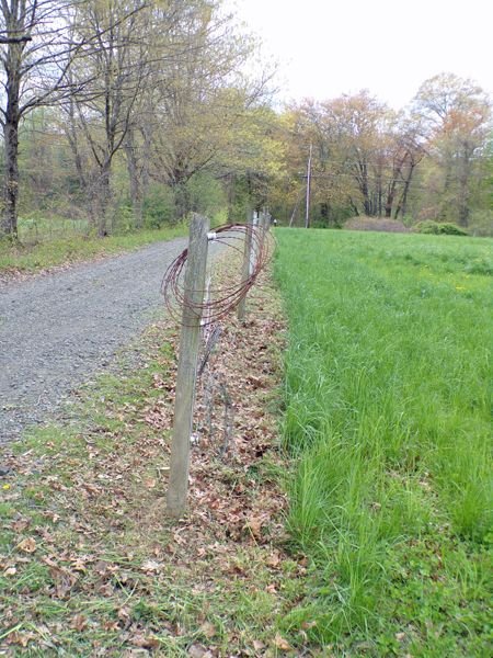 Fence work started crop May 2021.jpg