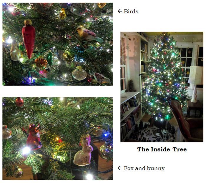 John's inside tree collage text crop Dec 2024.jpg