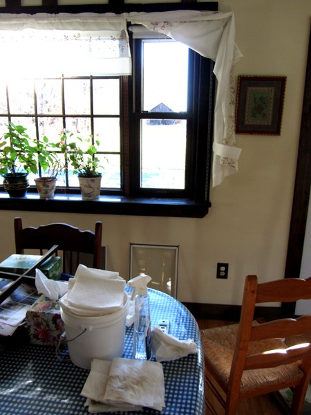 Washing dining room windows crop Nov 2024.jpg