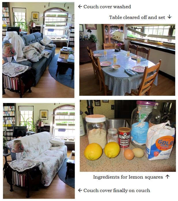Busy morning2 collage text crop May 2025.jpg