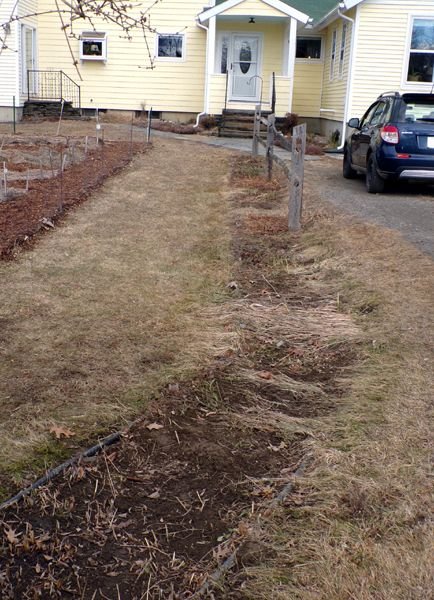 Fence gardens - raked out crop Feb. 2023.jpg