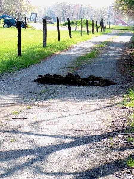 Hole in driveway crop April 2023.jpg