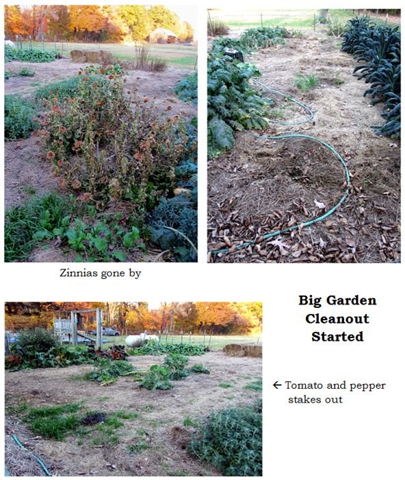 Big garden - cleanout started collage text crop Oct 2024.jpg