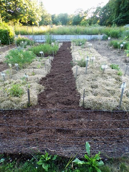 New Herb - 4th walkway finished crop July 2022.jpg