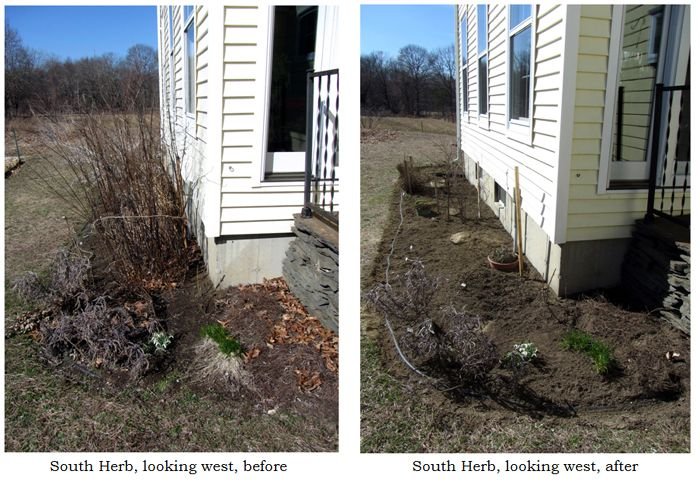 South Herb - before-after collage1 text crop March 2025.jpg