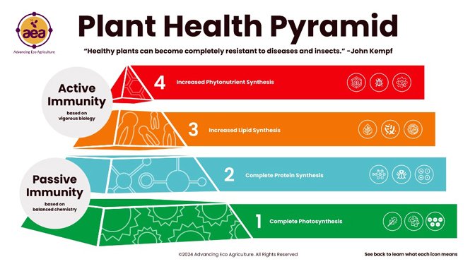 Plant Health pyramid crop.jpg