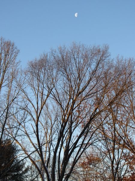 Moonset crop Jan 2025.jpg