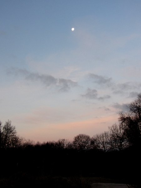 Moonset, sunrise to west crop Dec 2024.jpg