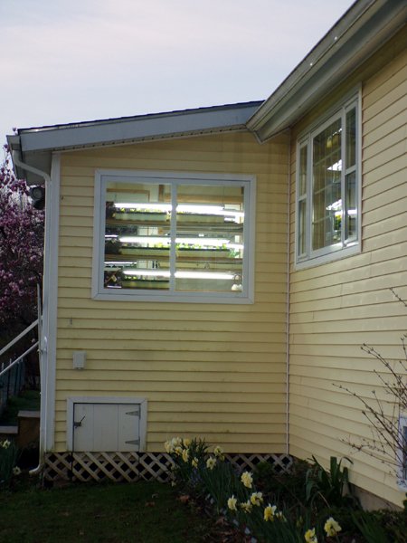 Back porch lights crop April 2024.jpg