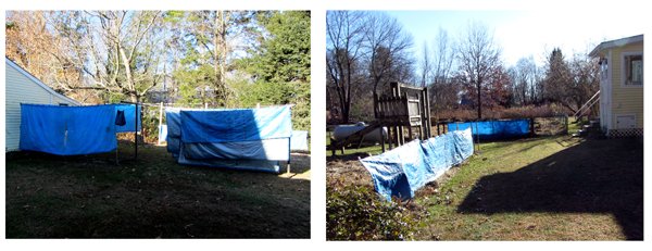 Tarps washed collage crop Nov 2024.jpg