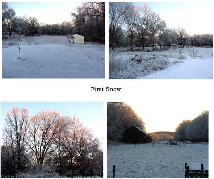 First snow collage text crop Nov 2024.jpg