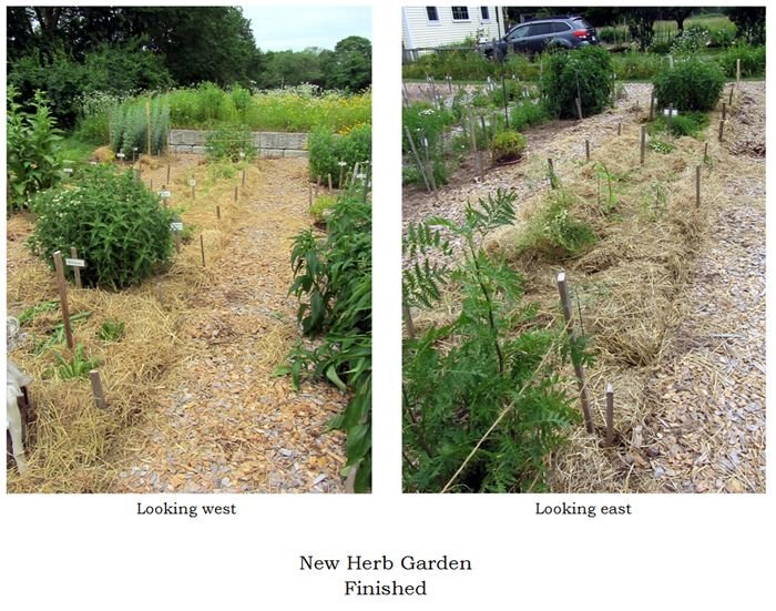 New Herb - Row 2, finished collage text crop June 2025.jpg