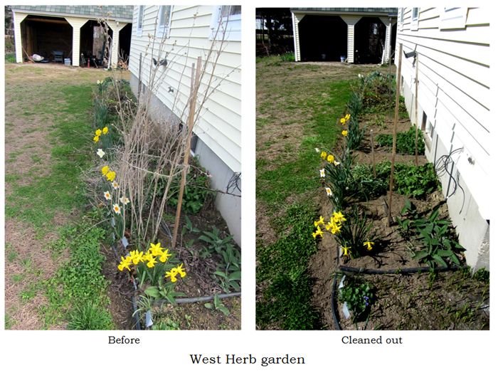 West Herb - collage text crop April 2025.jpg