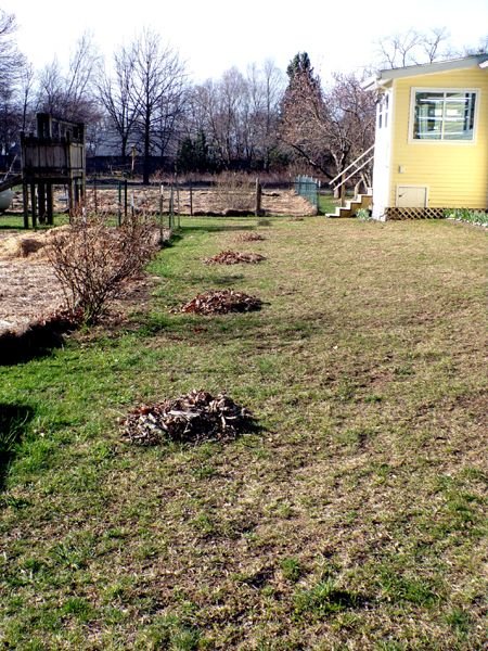 Side yard raked crop April 2023.jpg