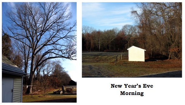 New Year's Eve morning collage text Dec 2024.jpg