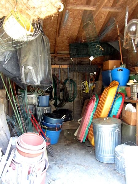 Garden shed - everything back in crop August 2024.jpg