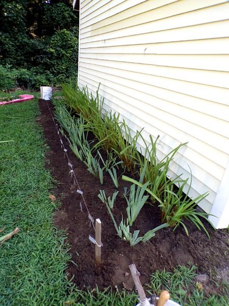 West Shed - cleaned out crop July 2024.jpg