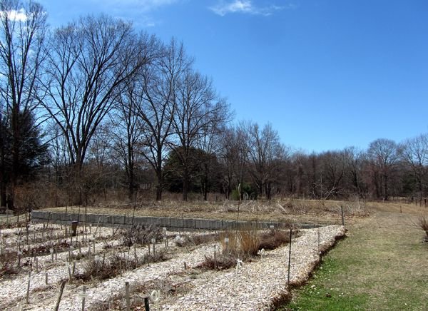 Deep blue sky crop March 2025.jpg