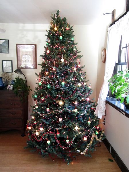 Christmas tree - bubble lights and garlands on2 crop Nov 2024.jpg