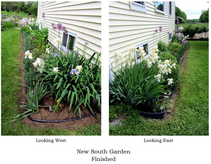New South - done collage text crop May 2025.jpg