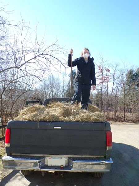 Liv and truckload of hay crop March 2022.jpg