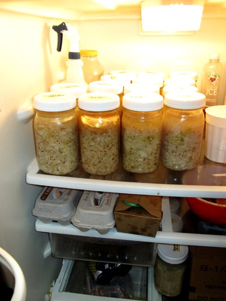 Sauerkraut in fridge1 crop Oct 2024.jpg