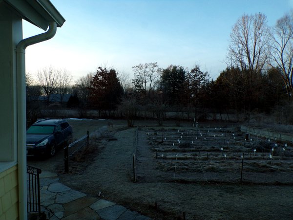 Frosty morning crop Feb. 2024.jpg