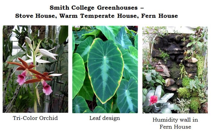 Smith greenhouses - various houses collage text crop Jan 2025.jpg